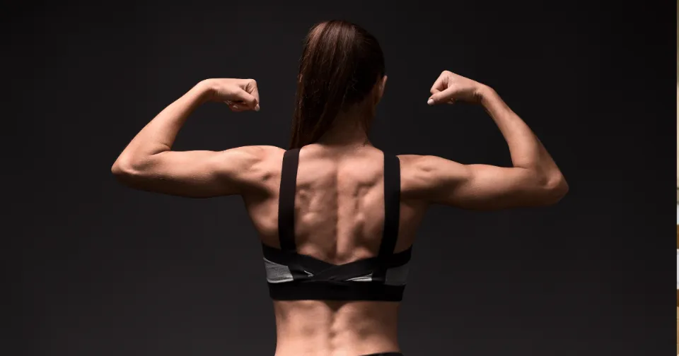Muscle helps with insulin sensitivity\