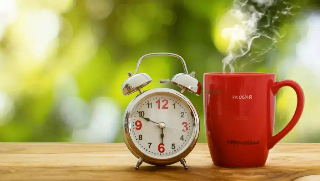 The timing of coffee break autophagy